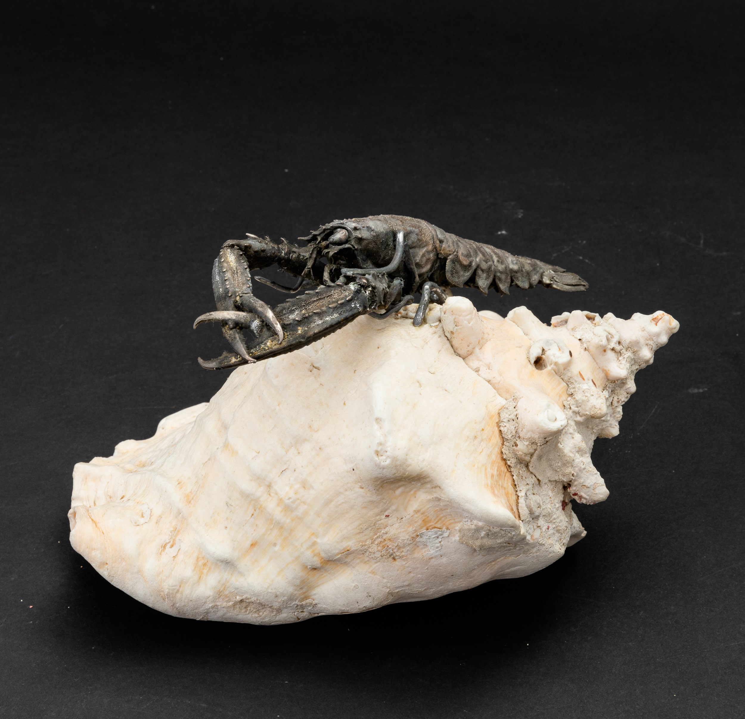 Maison Mario Buccellati, Conchiglia con crostaceo, argento su conchiglia, Italia XX-XXI secolo