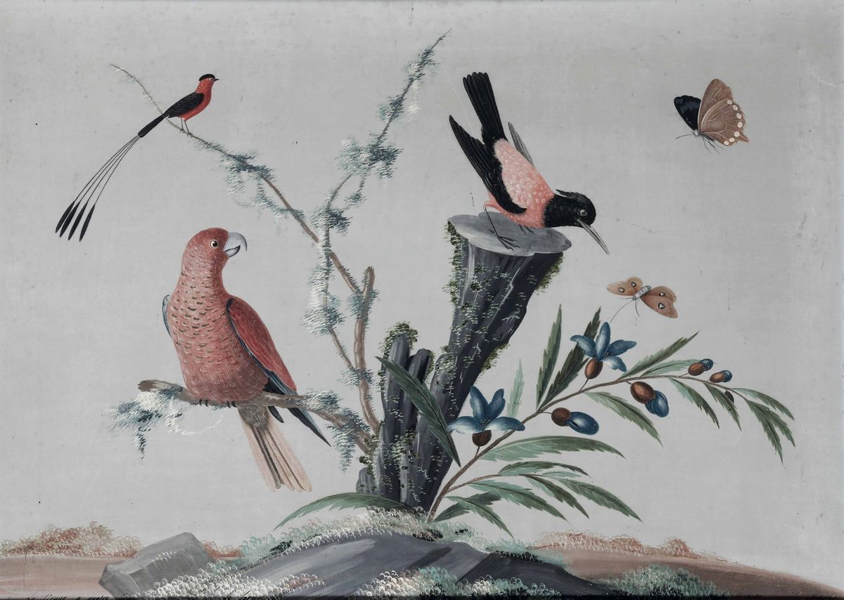 Vittorio Raineri, Carlo Antonio Raineri - Paesaggi con Volatili, Fiori, Insetti e Vegetazione