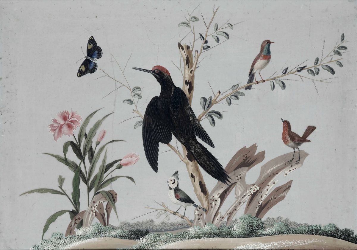 Vittorio Raineri, Carlo Antonio Raineri - Paesaggi con Volatili, Fiori, Insetti e Vegetazione