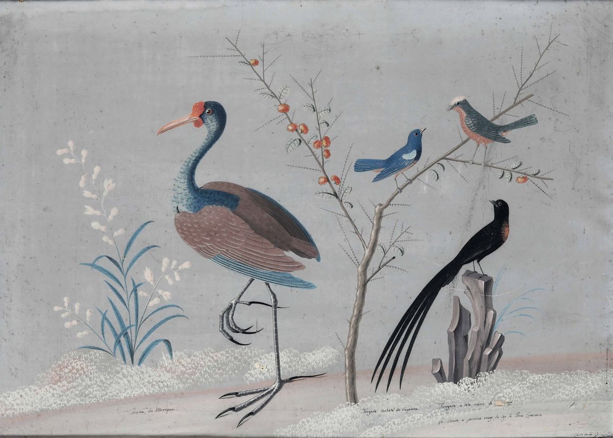 Vittorio Raineri, Carlo Antonio Raineri - Paesaggi con Volatili, Fiori, Insetti e Vegetazione