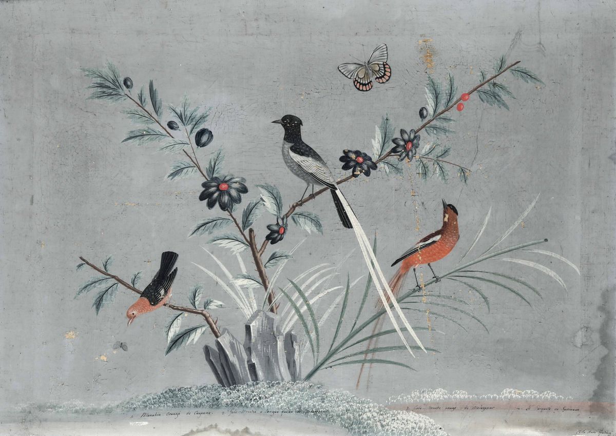 Vittorio Raineri, Carlo Antonio Raineri - Paesaggi con Volatili, Fiori, Insetti e Vegetazione