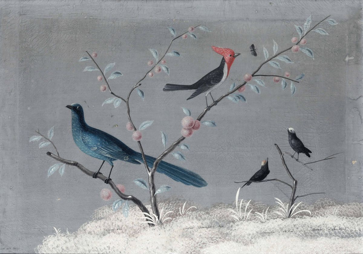 Vittorio Raineri, Carlo Antonio Raineri - Paesaggi con Volatili, Fiori, Insetti e Vegetazione