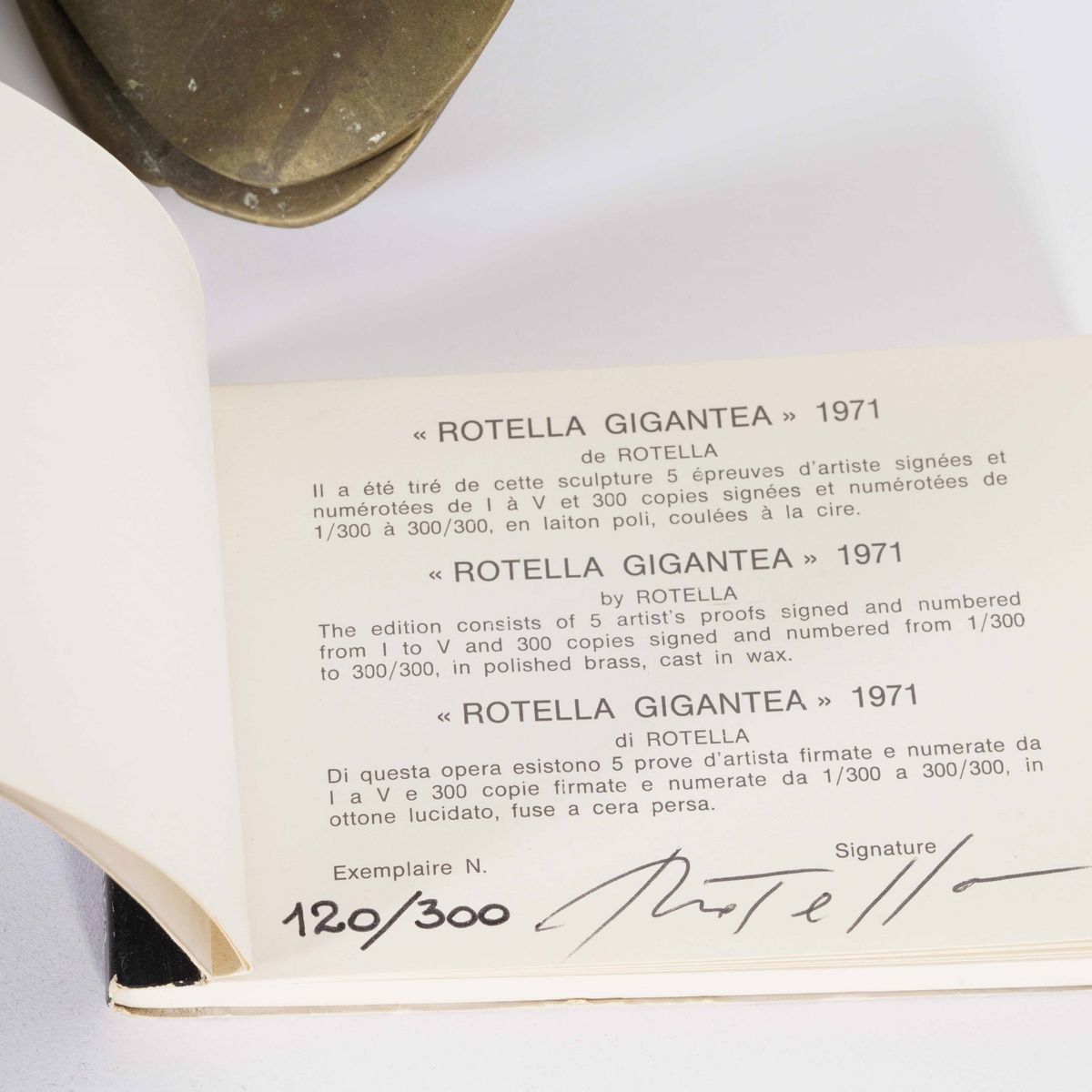 Rotella Gigantea