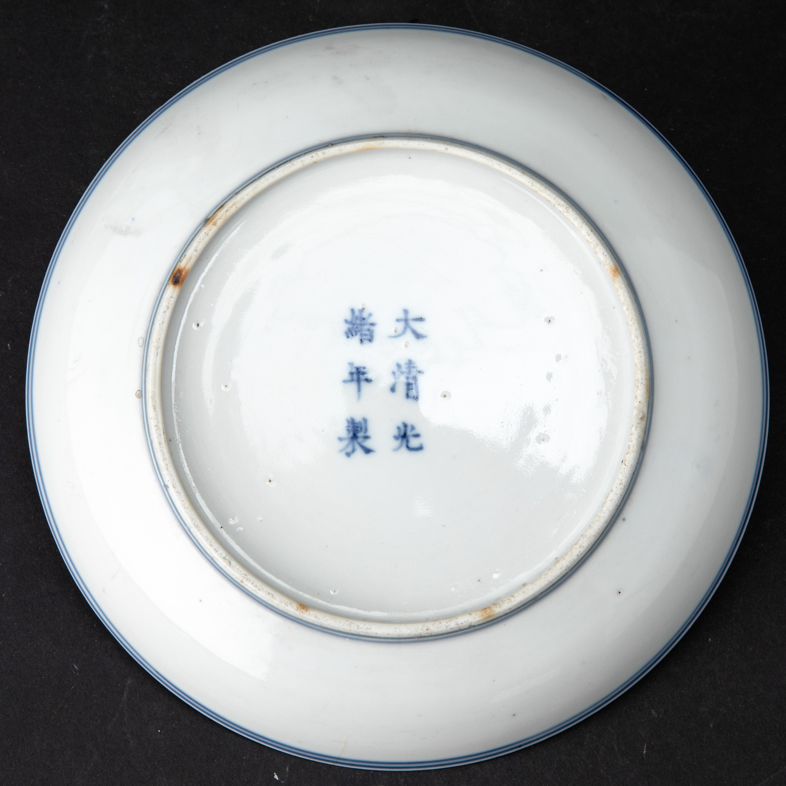 Piatto in porcellana, Cina, Dinastia Qing, periodo Guangxu, decorazioni naturalistiche