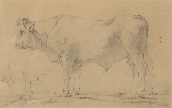 Aritsta toscano del XIX-XX secolo Mucca