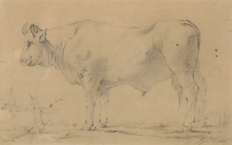 Aritsta toscano del XIX-XX secolo Mucca  - matita su carta - Auction Paintings from the 19th-20th centuries - Cambi Casa d'Aste