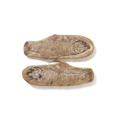 Pesce fossile, reperto paleontologico