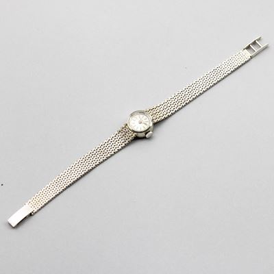Zenith - Lady