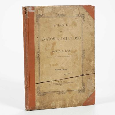 C.e. Bock Atlanti di Anatomia Dell'uomo. Traduzione Italiana Autorizzata sulla Sesta Edizione Ori...