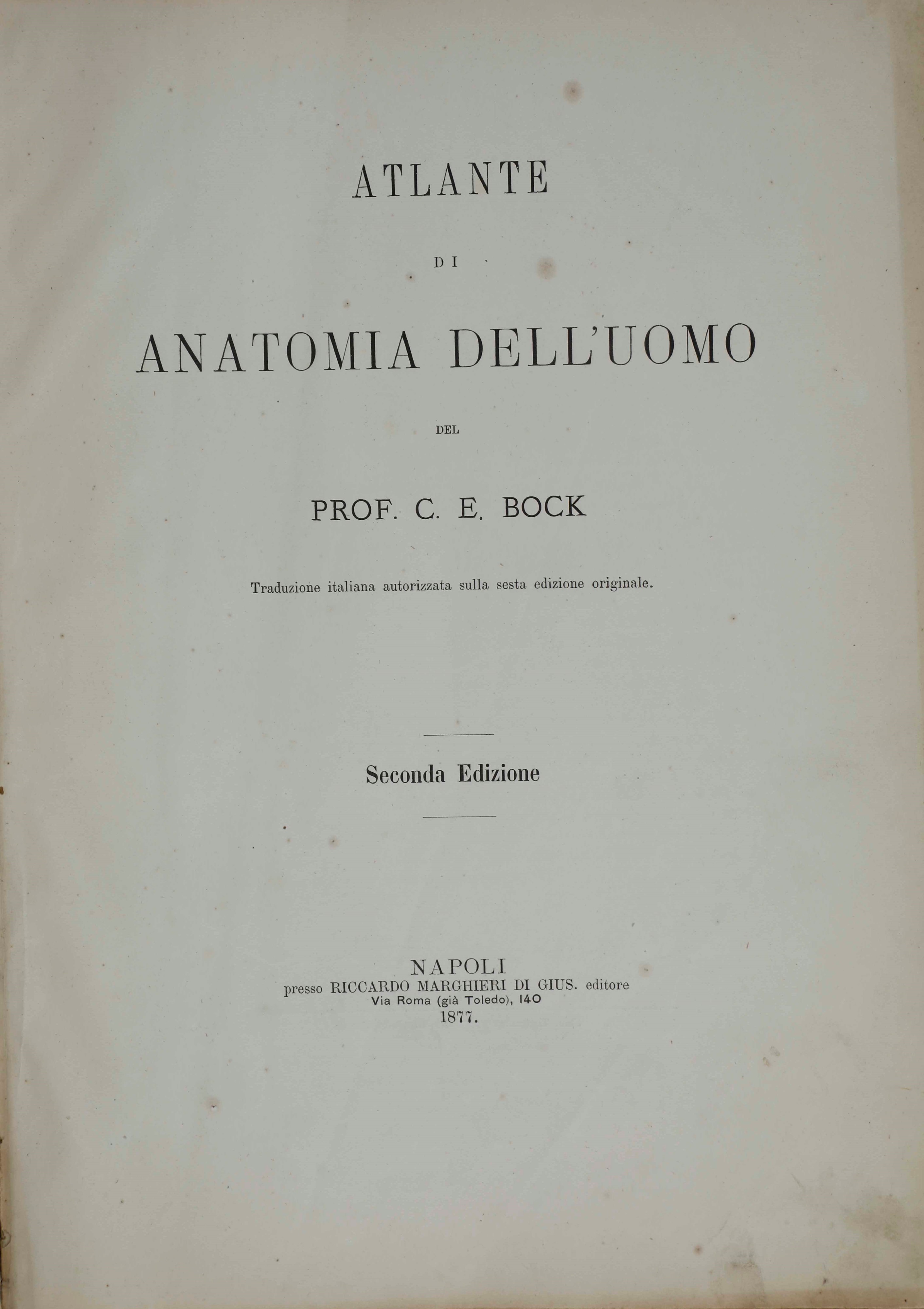C.e. Bock Atlanti di Anatomia Dell'uomo. Traduzione Italiana Autorizzata sulla Sesta Edizione Ori...