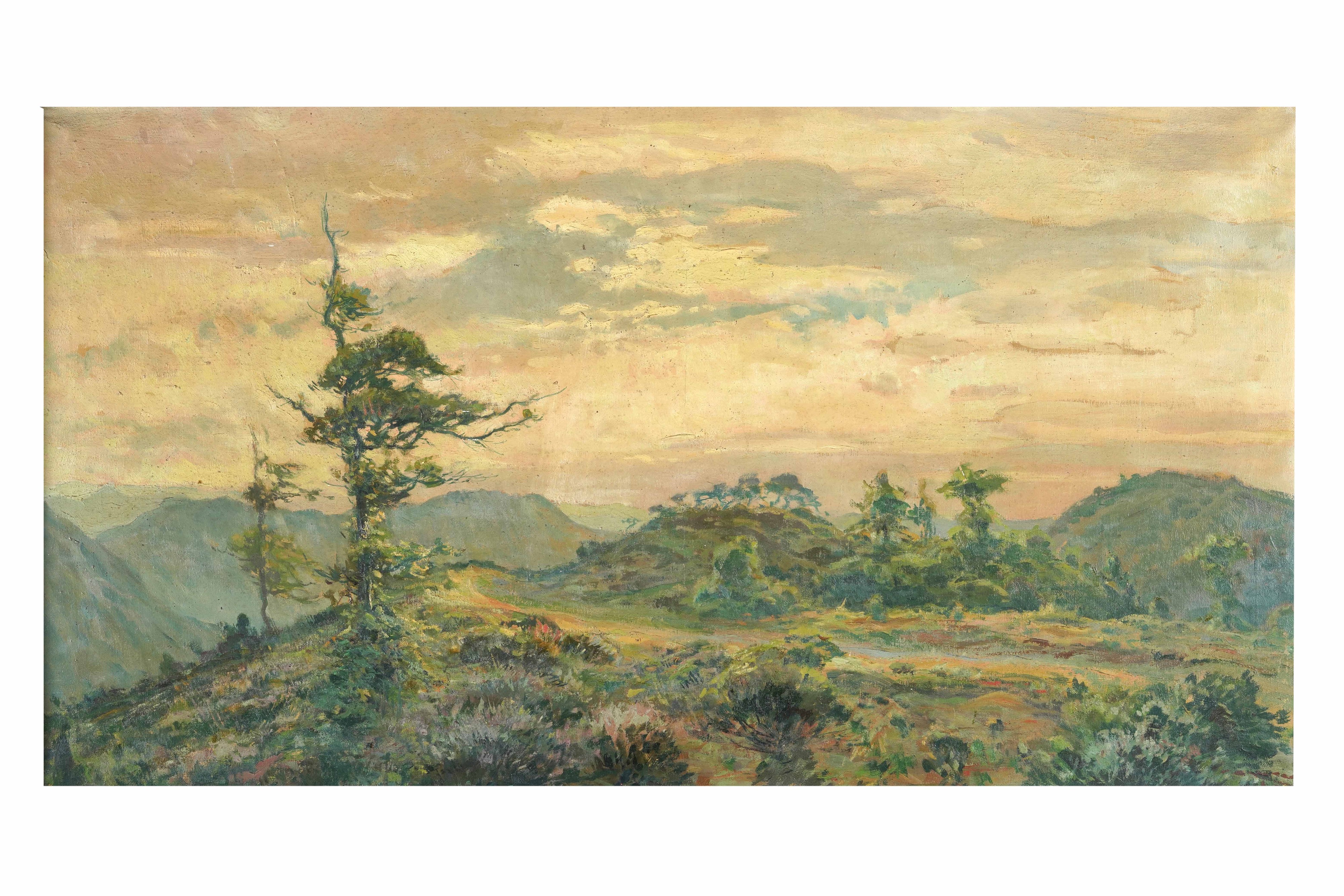 Vaccari Paesaggio Montano