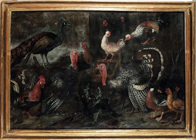 Scuola del XVII Secolo Natura Viva con Volatili da Cortile