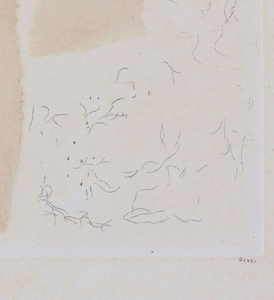 Alberto Burri - Muffa