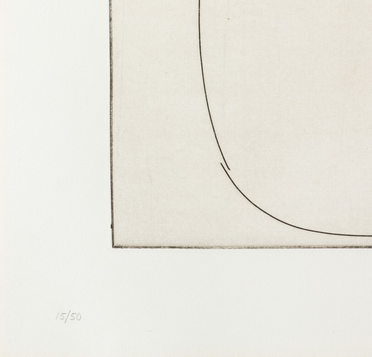 Ben Nicholson - Complicated Forms. Birds