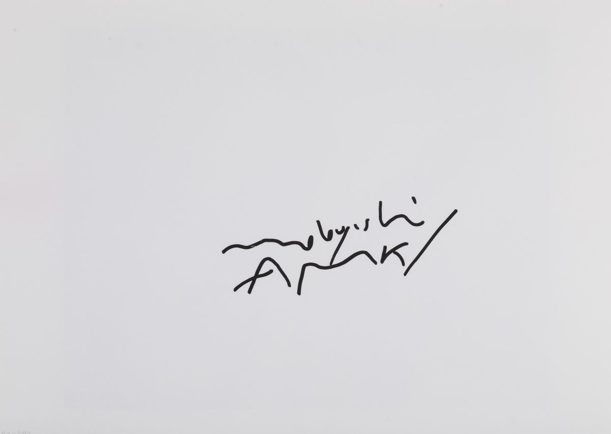 Nobuyoshi Araki - Senza Titolo