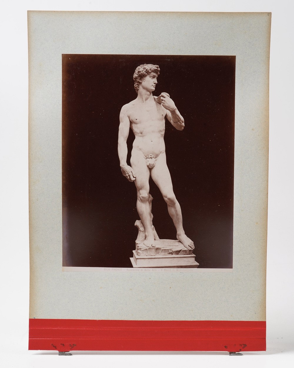 Raccolta di Fotografie All'albumina Album con Vedute di Genova, Pisa, Siena, Firenze, Torino, e D...