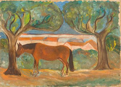 Cavalli al Pascolo (cavallino al Sole)