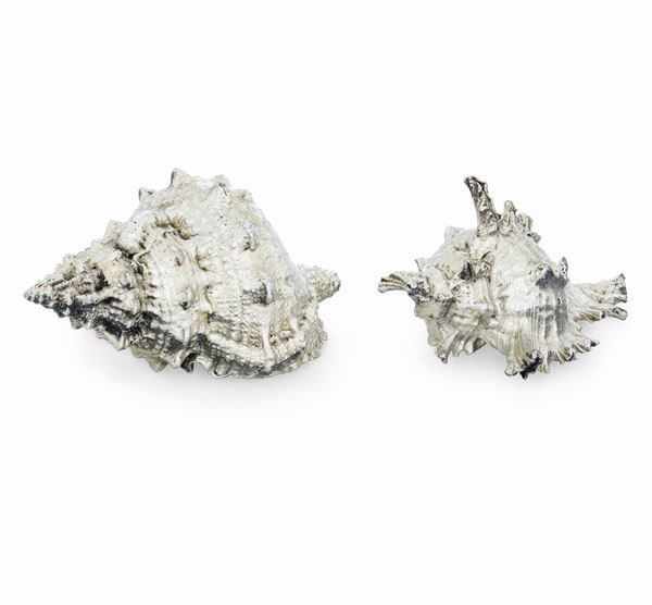 Due conchiglie rivestite in argento. Argenteria artistica del XX-XXI secolo