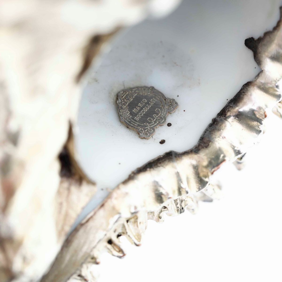 Due Conchiglie Rivestite in Argento. Argenteria Artistica del XX-XXI Secolo