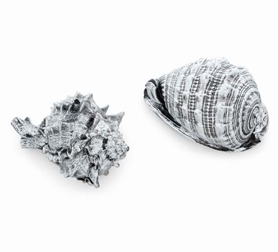 Due Conchiglie Rivestite in Argento. Argenteria Artistica del XX-XXI Secolo