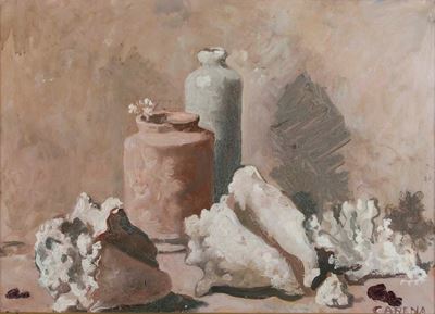 Senza Titolo (natura Morta con Conchiglie)