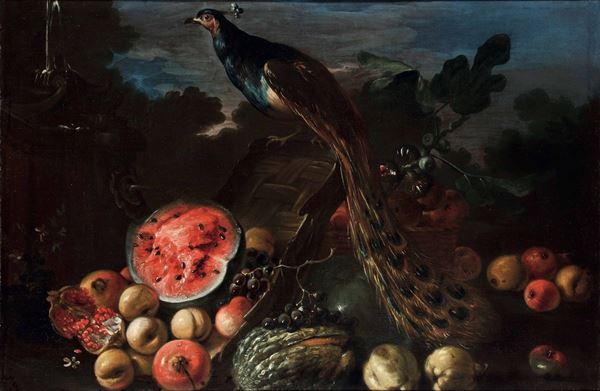 Scuola fiamminga del XVII secolo Natura morta di frutta con pavone