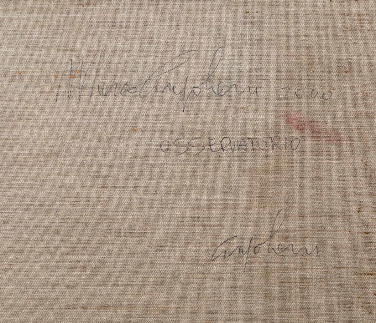 Marco Cingolani - Osservatore