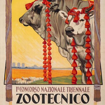 1° Concorso Nazionale Triennale Zootecnico.