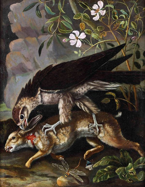 Scuola del XVIII secolo Falcone che caccia una lepre
