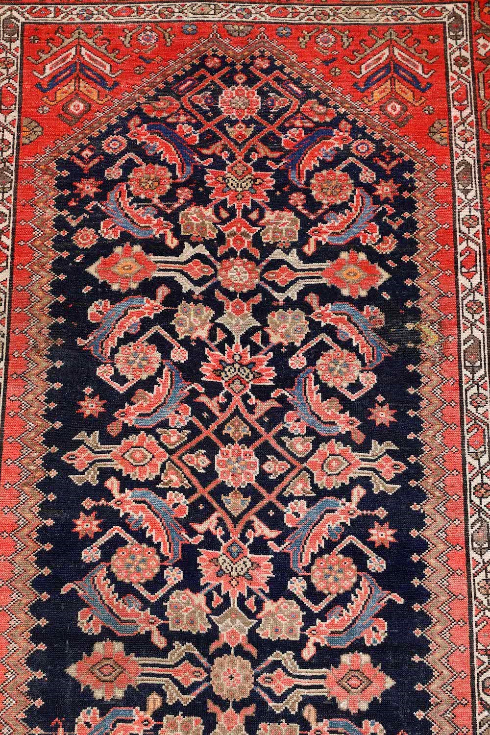 Kelley Malayer, Persia Fine XIX Secolo