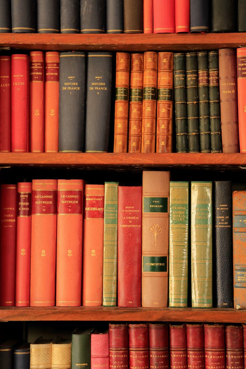 Una Biblioteca del '900 di un Accanito Lettore di Classici la Biblioteca di Campagna di uno Studi...