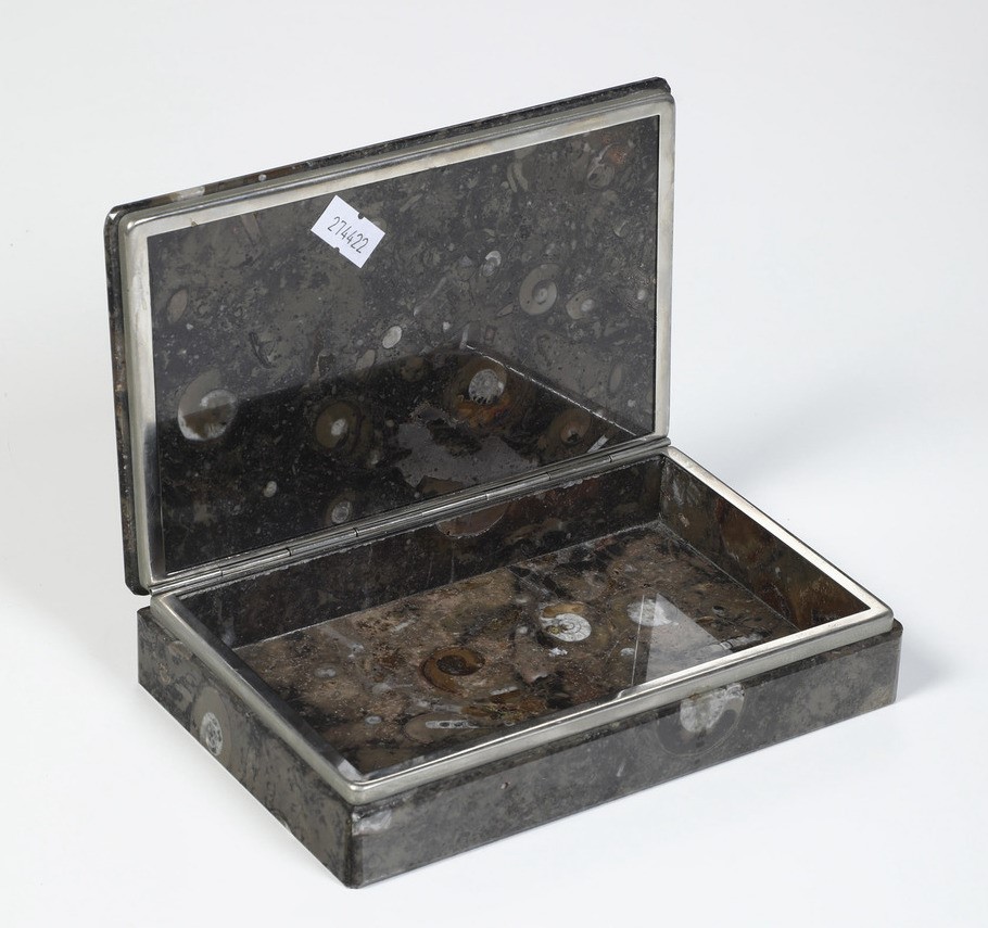 Scatola con Ammoniti Fossili su Pietra Dura