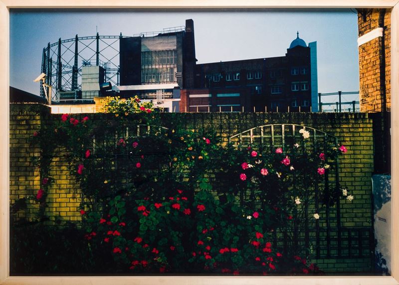 Annalisa Sonzogni - Untitled #5, dalla Serie "pleasure Gardens"