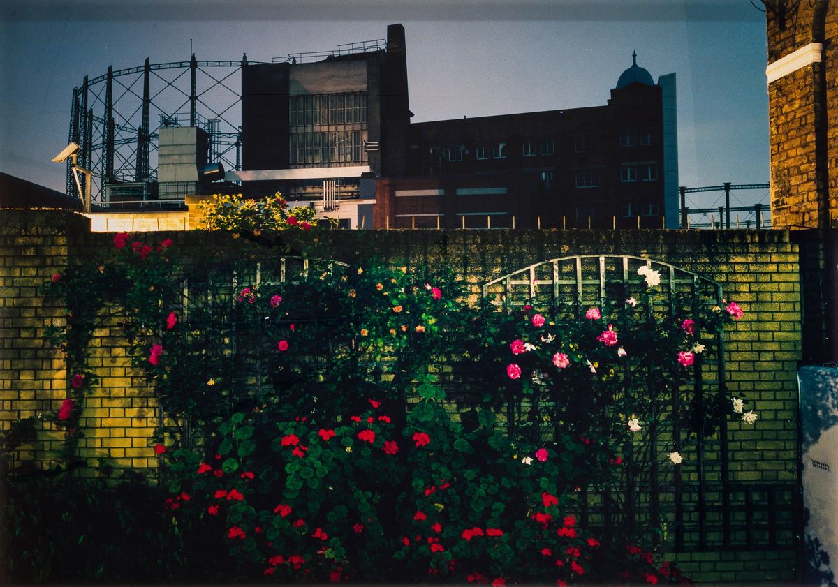Annalisa Sonzogni - Untitled #5, dalla Serie "pleasure Gardens"