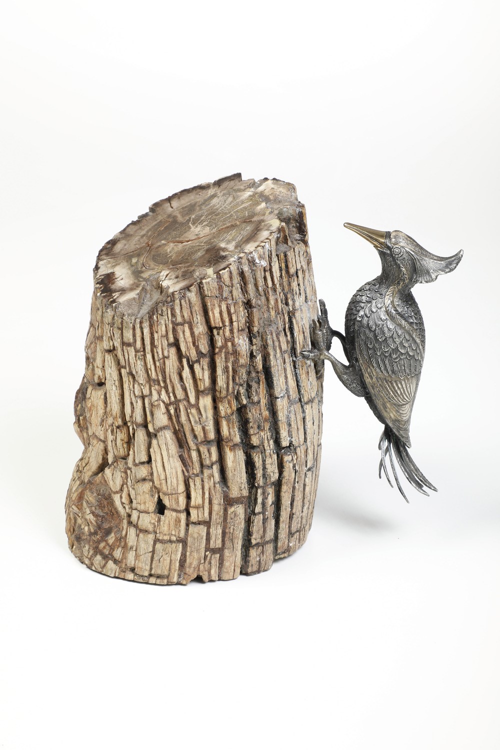 Volatile in Argento su Legno Fossile
