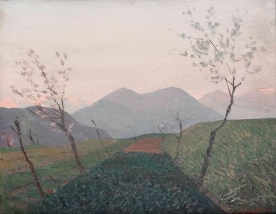 Campi a Besano