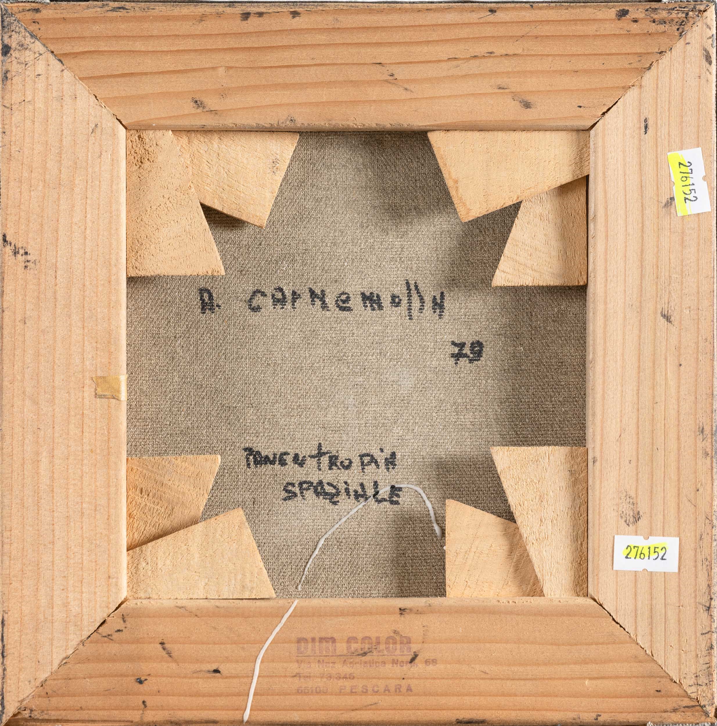 Andrea Carnemolla - Panentropia spaziale