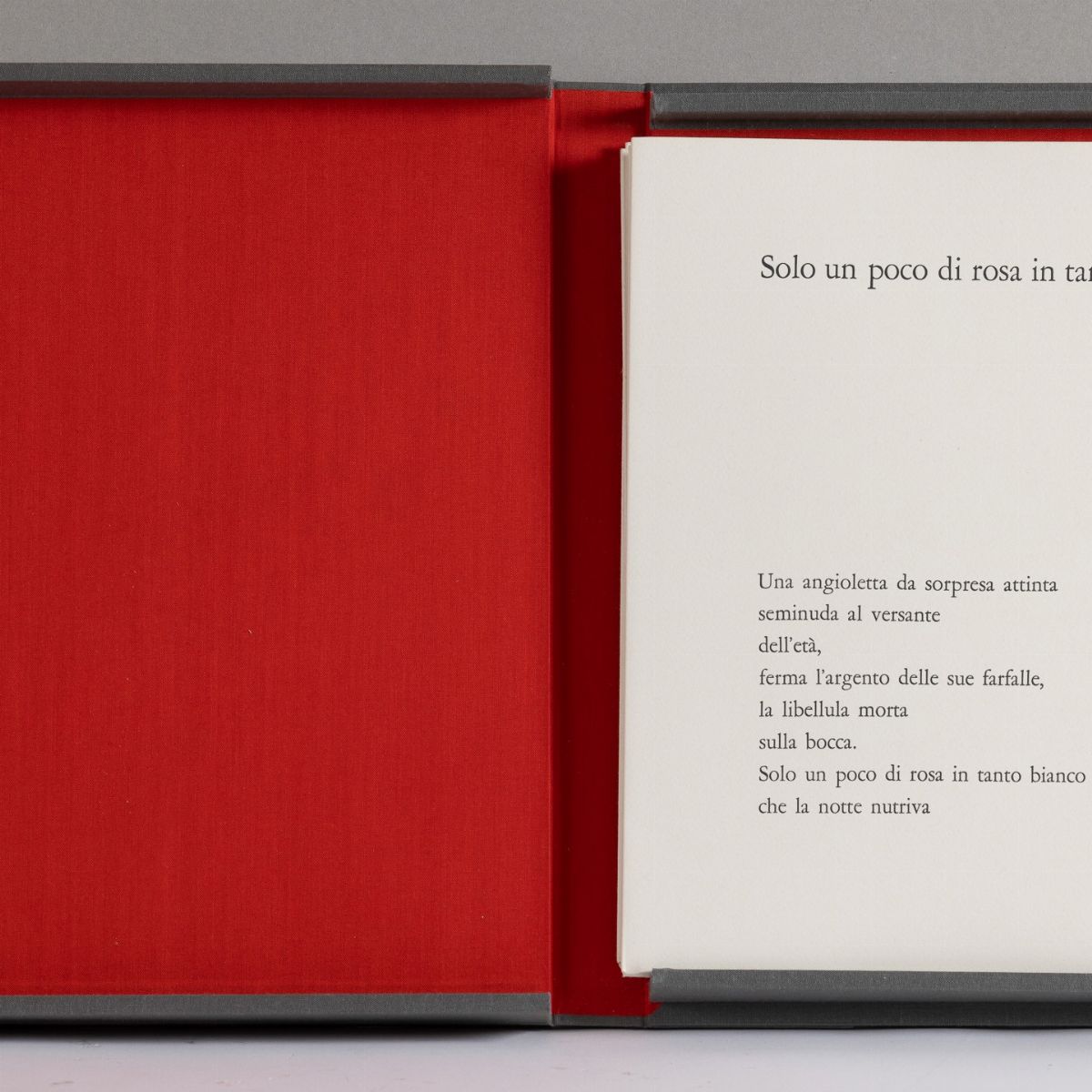 Hans Richter - Il Bene Raro