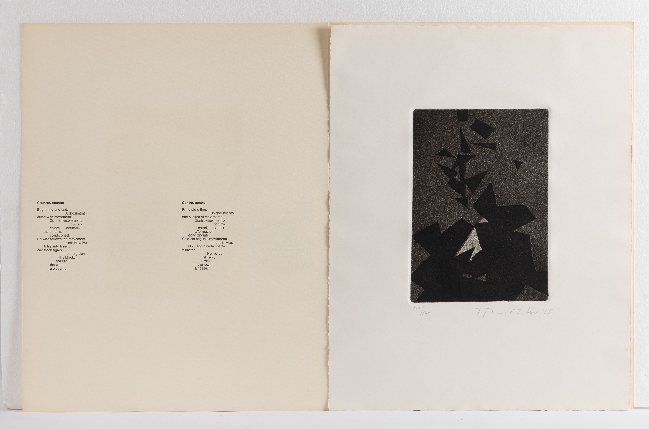 Hans Richter - Il Caos, il Gesto, la Vita