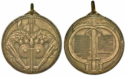 Regno D'italia. Vittorio Emanuele III di Savoia, 1900-1946. Medaglia in Metallo Bianco 1916. Omag...