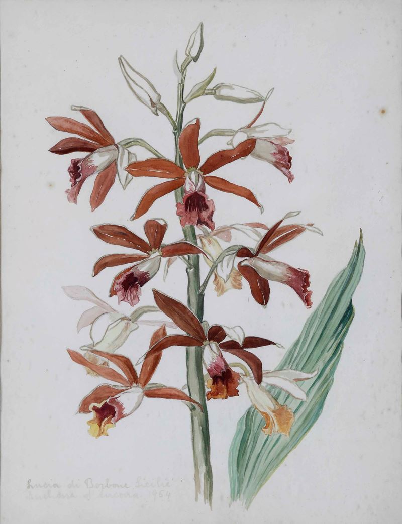 Stampa con fiori, iscritto in basso a sinistra Lucia di Borbone Sicilia, Duchessa di Ancona 1954  - Asta Antiquariato - Cambi Casa d'Aste