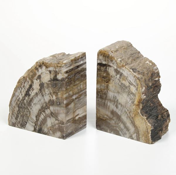 Coppia di fermalibri in legno fossile