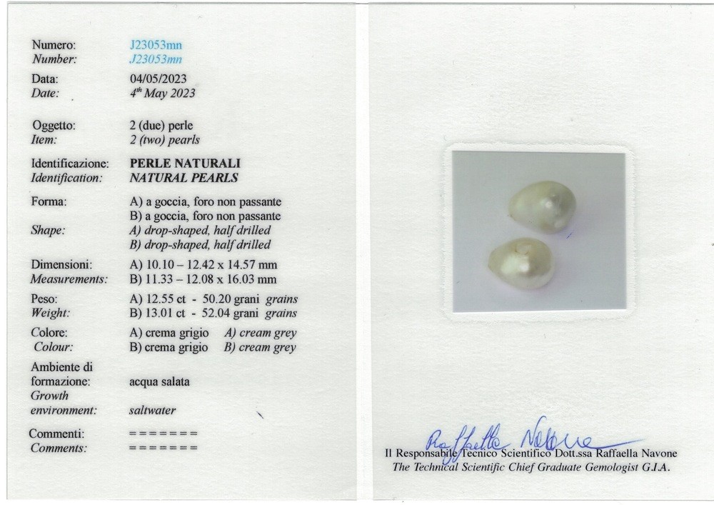 Orecchini con perle naturali d’acqua salata, montatura in oro bianco 750/1000