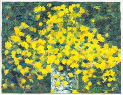 Mimose su Sfondo Scuro