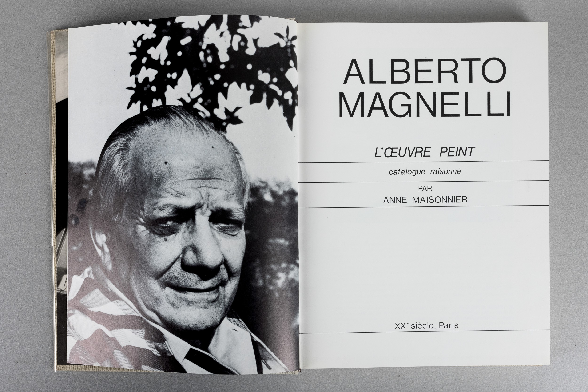 Alberto Magnelli. L'oeuvre Peint Catalogue Raisonne