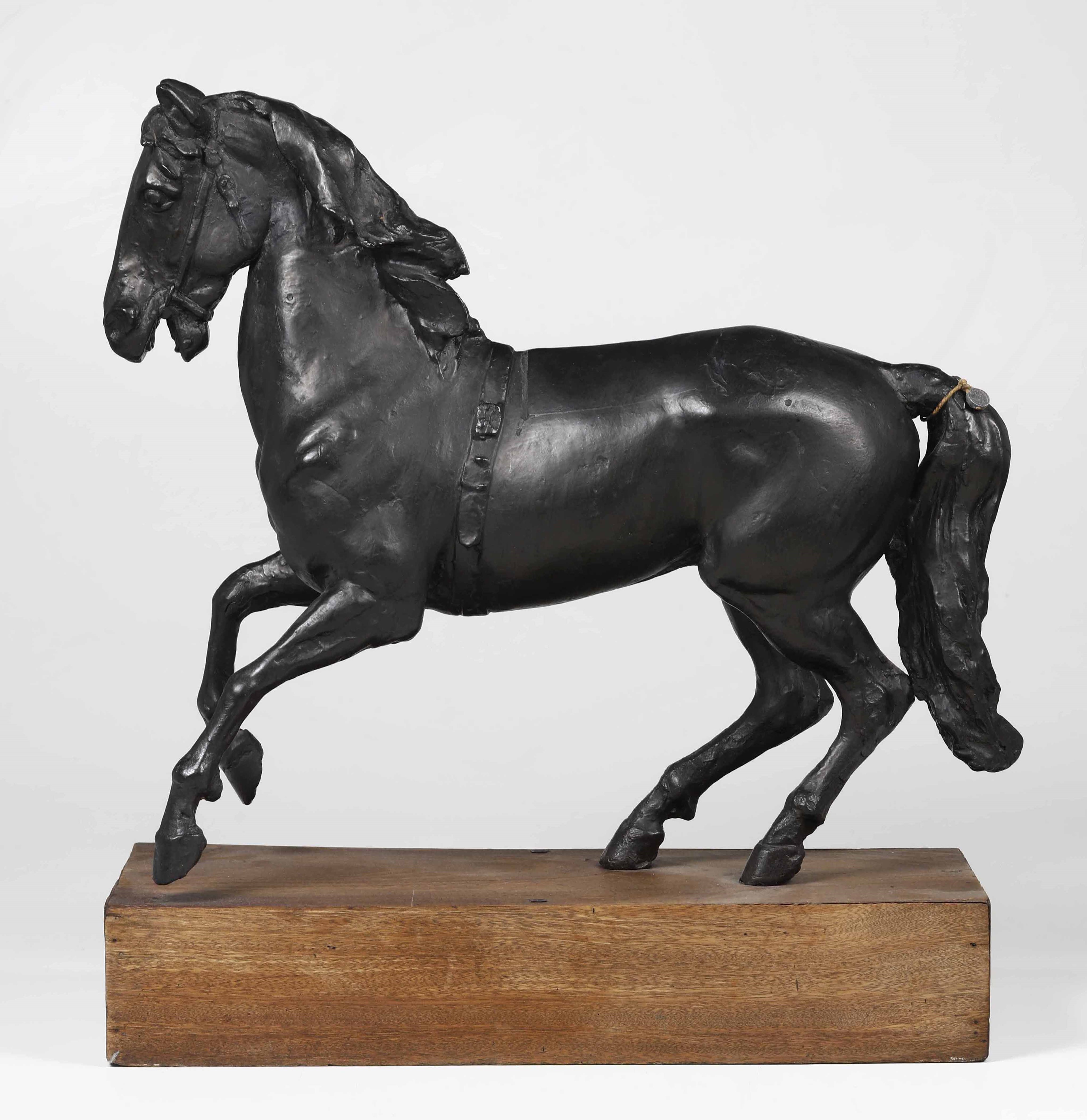 Plasticatore Francese del XIX-XX Secolo Cavallo