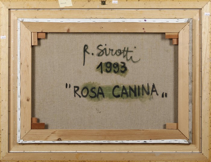Raimondo Sirotti - Rosa Canina, 1993