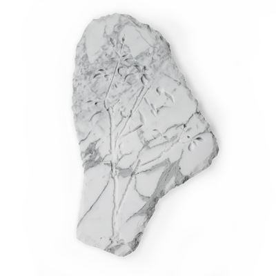 Ritratto di Rosa 2