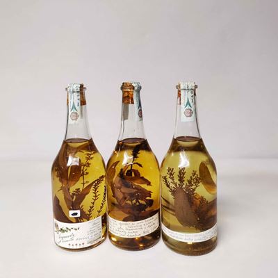 Levi Serafino, Grappa/acquavite