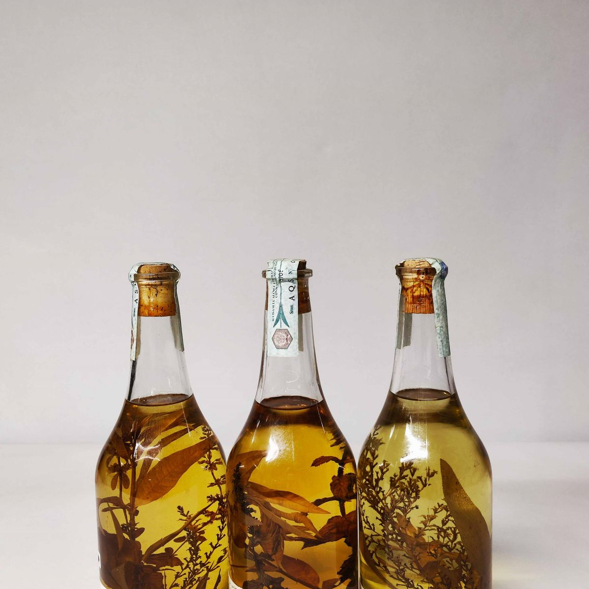 Levi Serafino, Grappa/acquavite